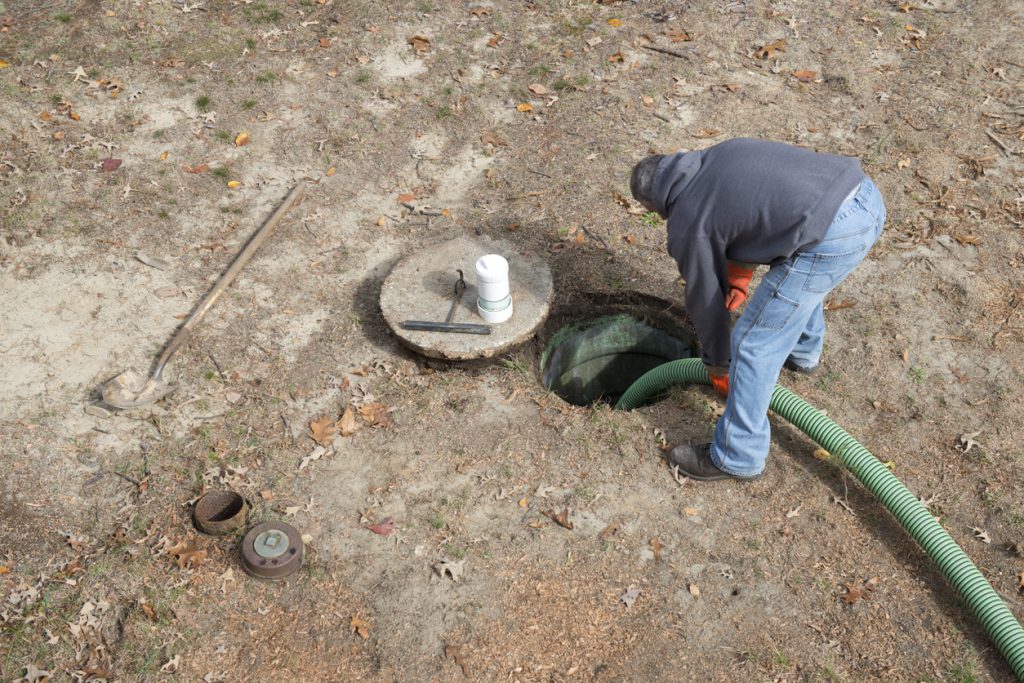 Navigating Tree Root Intrusions Effective Strategies In Drain Cleaning