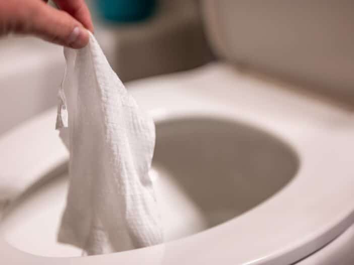 Flushable Wipes…Or Are They?