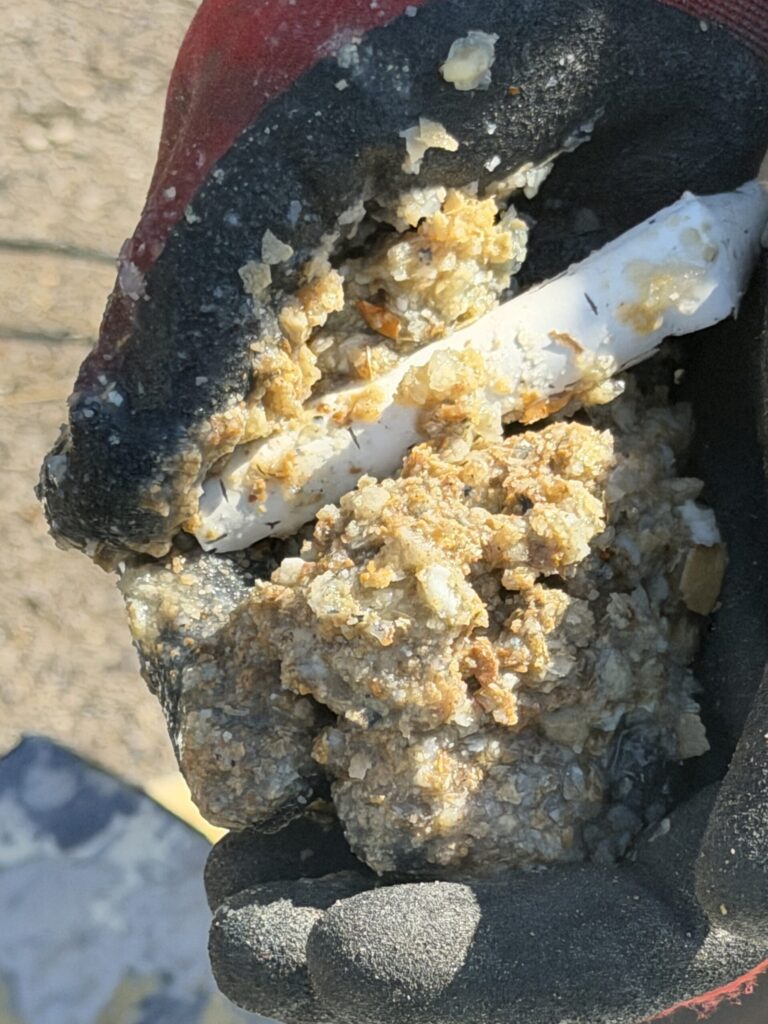 A close-up of a gloved hand holding a thick clump of chunky, beige mineral sediment removed from a water heater. A broken piece of white plastic tubing is embedded directly within the crystallized buildup.
